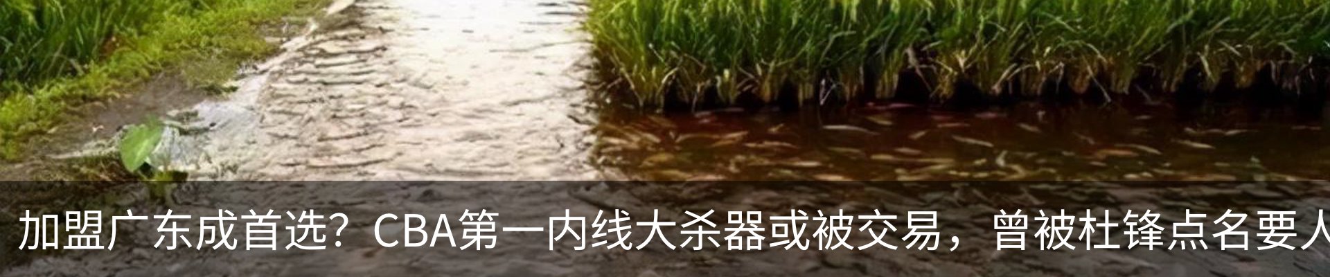 内页banner